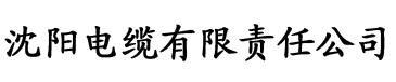 东北农村大炕全集完整版电缆厂logo